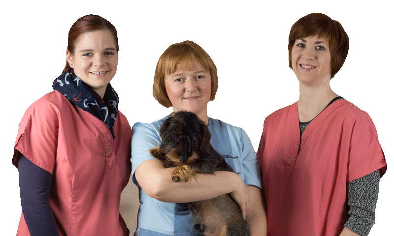 Tierklinik Dr.Himstedt & Dr. Lewan