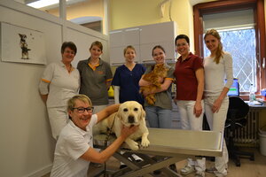 Cronenberg Christian Dr.med.vet. Tierarzt