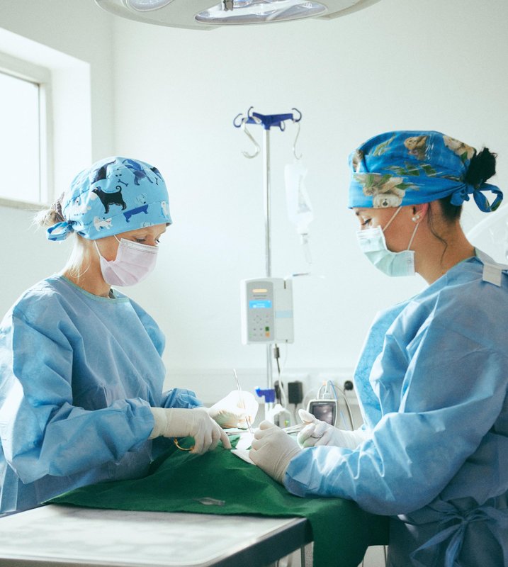 Praxis für Tiere – Dr. Zölch & Dr. Biebel