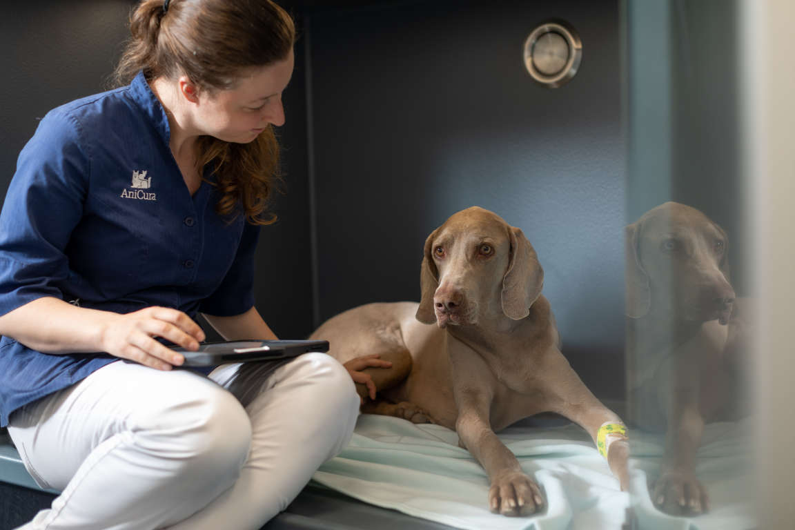 AniCura Tierklinik Haar