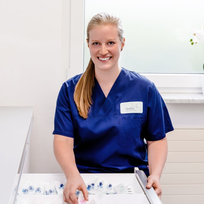 Tierarztpraxis Dr. med. vet. Martina Heilmann-Schwarz