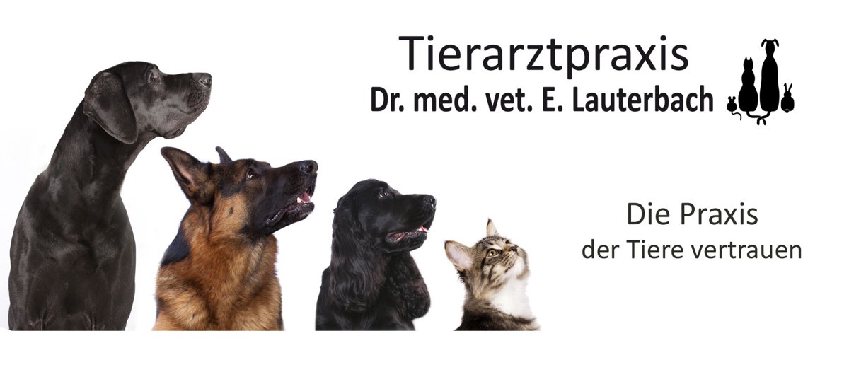 Tierarztpraxis Dr. Lauterbach