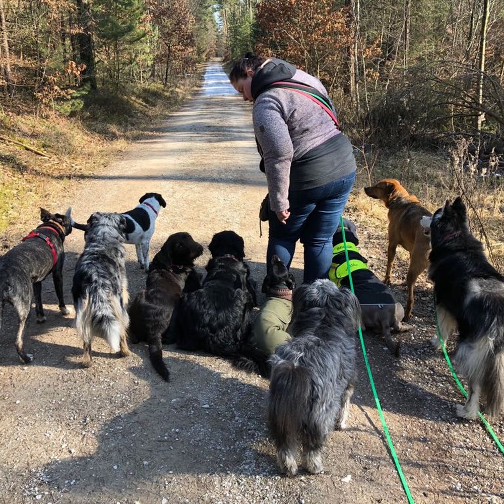 Tierklinik am Nordring