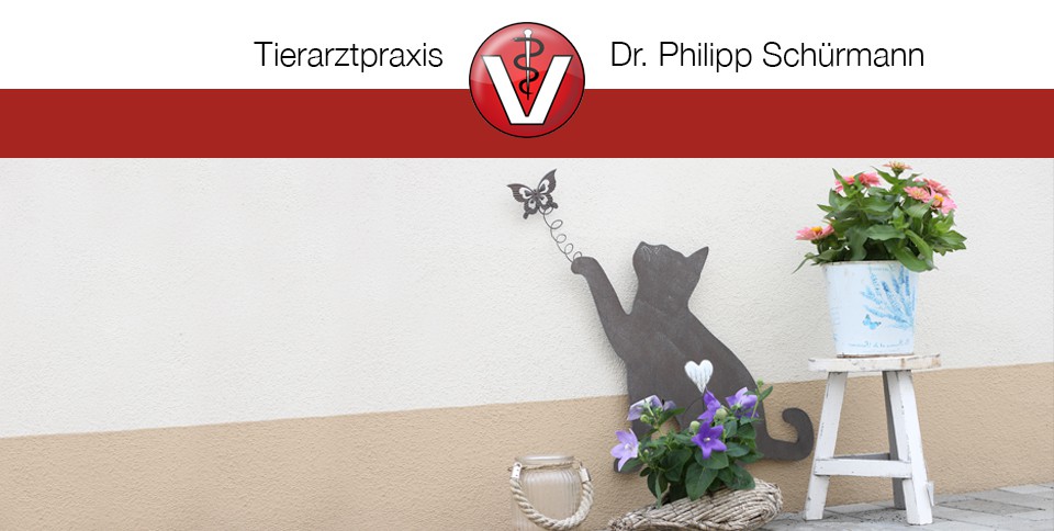 Pferdefahrpraxis Dr. Philipp Schürmann