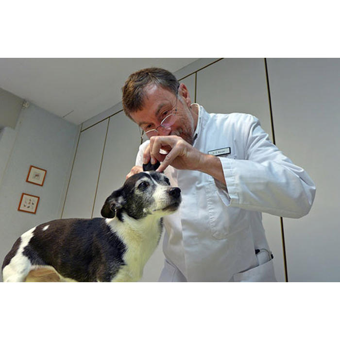 Dr.med.vet. Claudia Pessinger Tierärztin