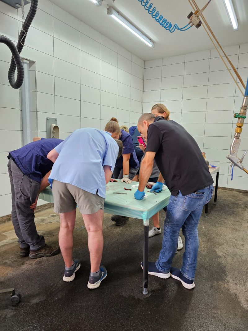 Tierärztliche Klinik Gessertshausen Altano GmbH