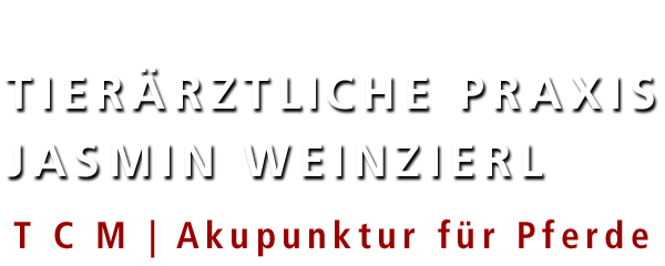 Tierärztliche Praxis für Akupunktur beim Pferd