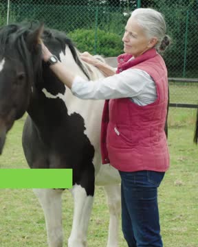 Tierarztpraxis für Akupunktur beim Pferd Jasmin Weinzierl