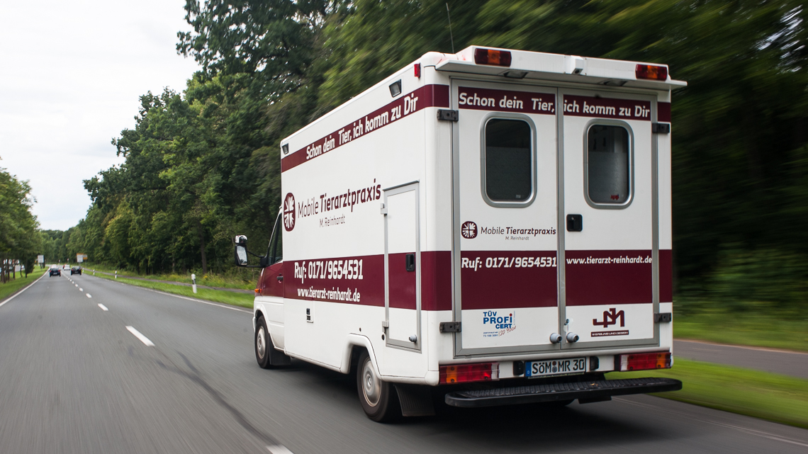 Mobile Tierarztpraxis Stein | Kleintier-Mobil | Tierarzt