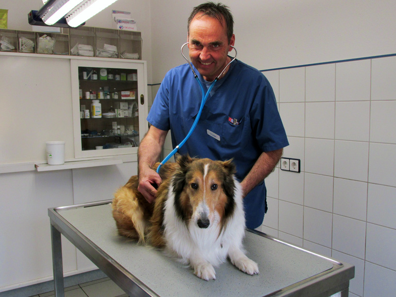 Dr.med.vet. Klaus Landgraf Tierarzt