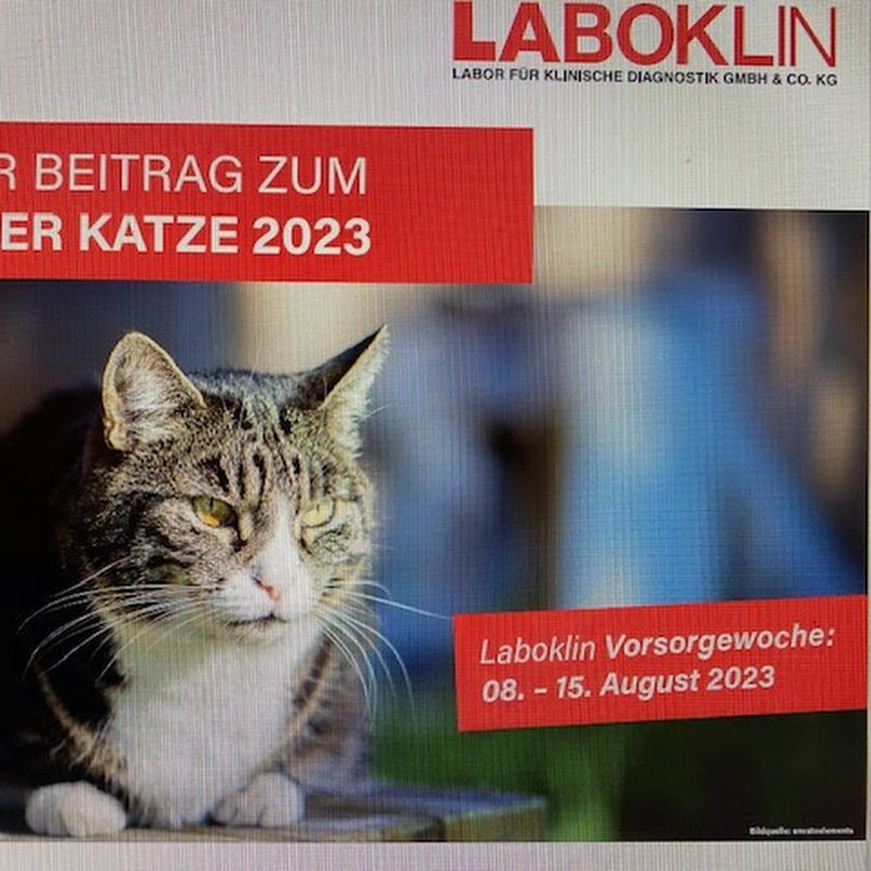 Tierarzt Beck Rossach, Dr. Peter Beck - Fachtierärztliche Praxis für Kleintiere