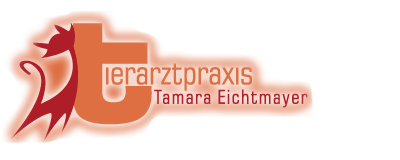 Tierarztpraxis Tamara Eichtmayer