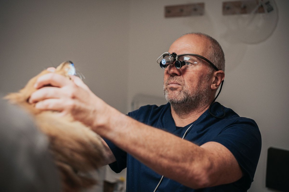 Dr. med. vet. Uwe Urban