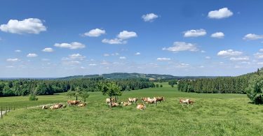 Tierärztliche Fahrpraxis Chiemgau