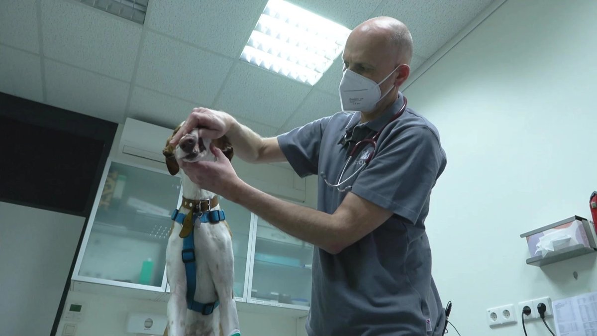 AniCura Tierklinik Haar