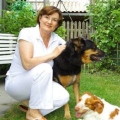 VetInstinct - Tierarztpraxis Katharina Kirschner