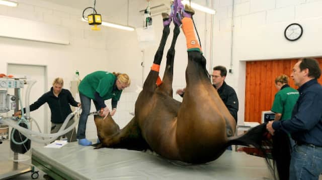 Tierärztliche Klinik für Pferde