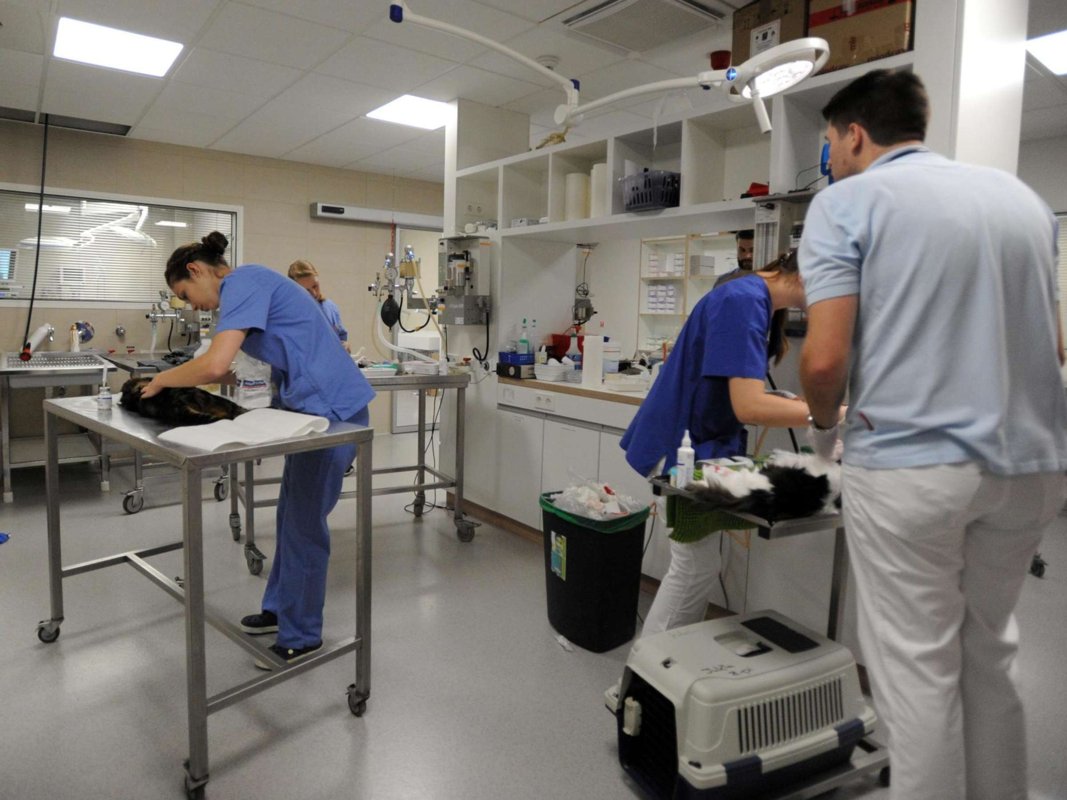 Tierklinik am Schillenberg