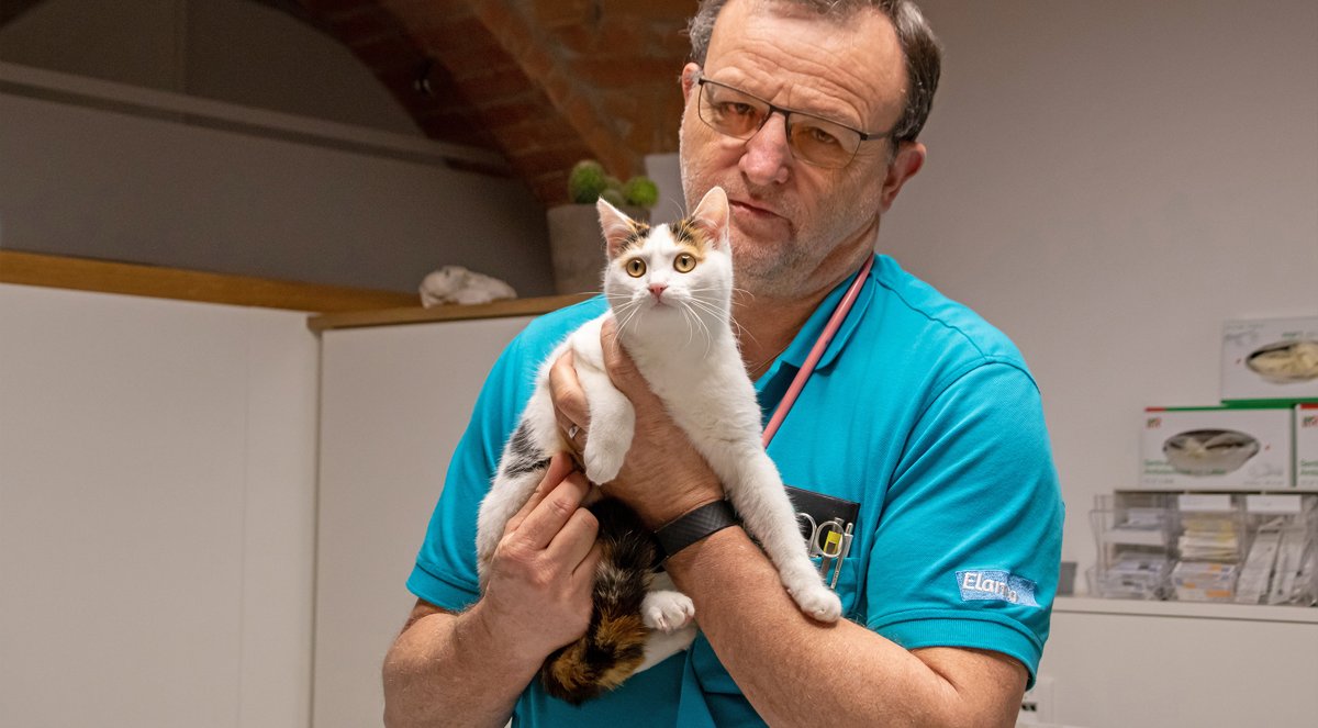 Dr. Josef Beisl - Tierarzt