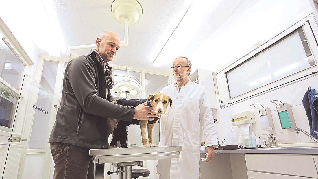 Dr. med. vet. Frank Wittmann, prakt. Tierarzt