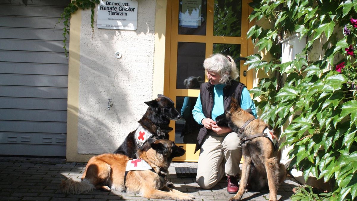 Tierarztpraxis für Kleintiere Dr. Renate Gregor