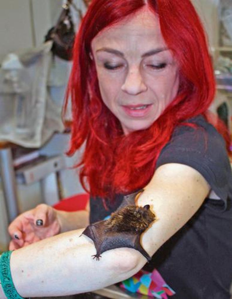 TIERARZTPRAXIS ZIMMERMANN, Katy-Marlen Zimmermann, amtliche Tierärztin