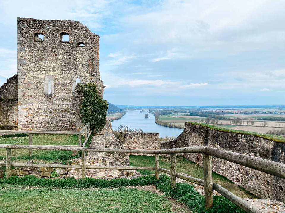 AniCura Regensburg