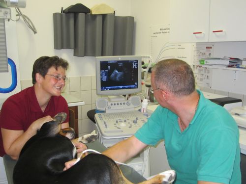 Dr.med.vet. Uwe Koch Tierarzt