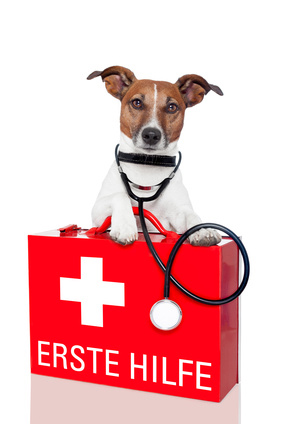 Tierklinik Stadtsteinach Evidensia GmbH (Bereitschaftszeiten siehe Website)