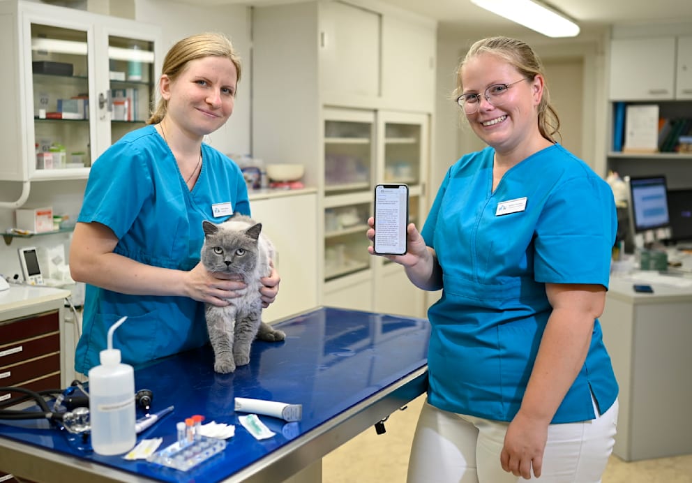 Tierärztliche Praxis für Katzen