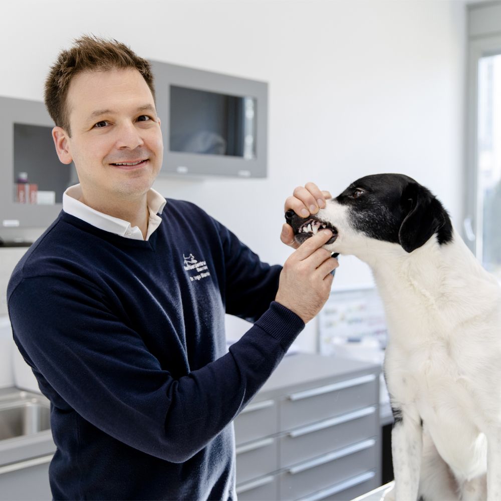 Tierklinik Starnberg - Pferdezentrum