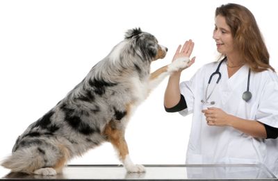 Tierklinik am Nordring