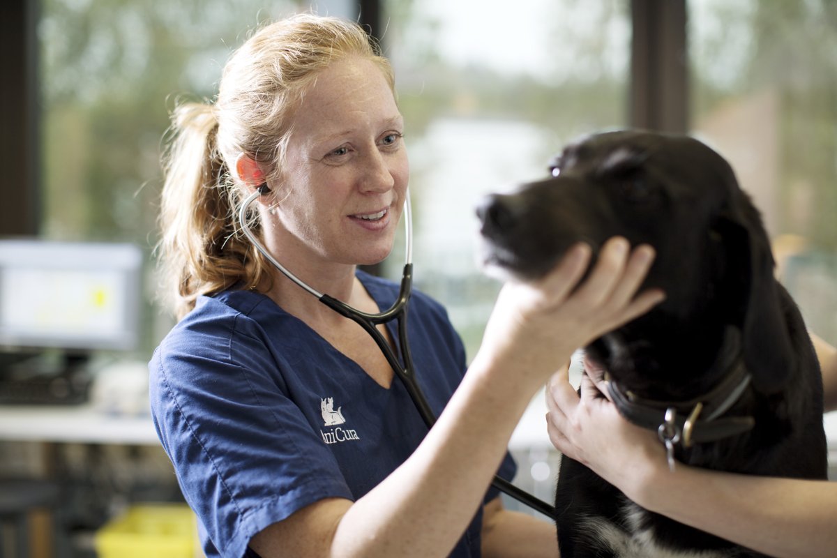 AniCura Tierklinik Haar