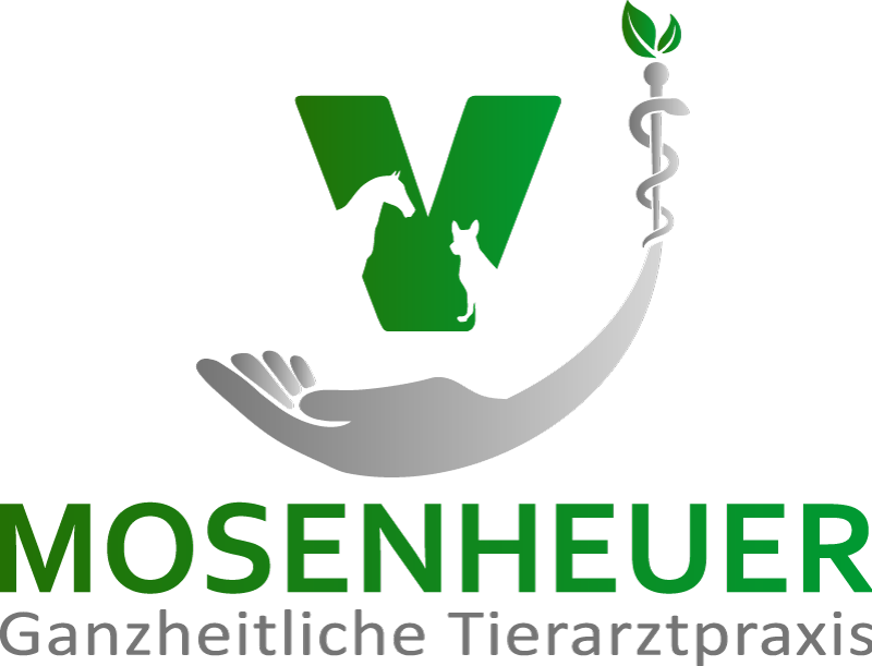 Ganzheitliche Tierarztpraxis Birgit Mosenheuer