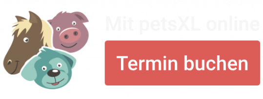 AniCura Kleintierklinik Babenhausen GmbH | 24h Notdienst
