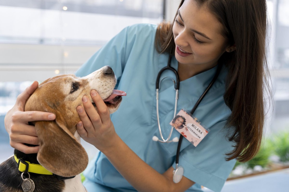 Tiergesundheitszentrum Meitingen - Veternicum Donauwörth GmbH