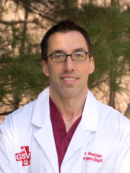 Veitinger W. Dr.med.vet.