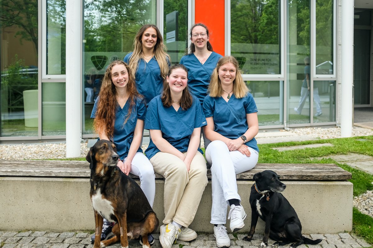 Zentrum für Kleintiermedizin München