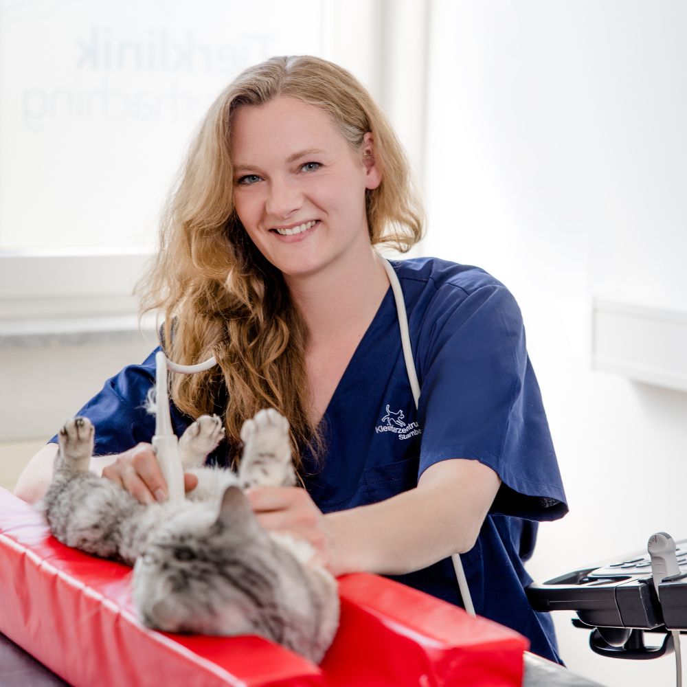 Kleintierzentrum Mainfranken Tierklinik