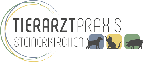 VETDENTpraxis Aunkirchen