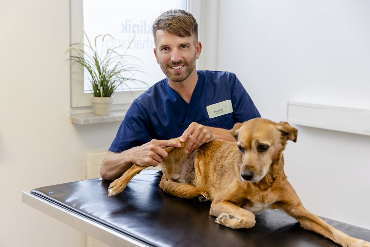 Tierklinik Oberhaching