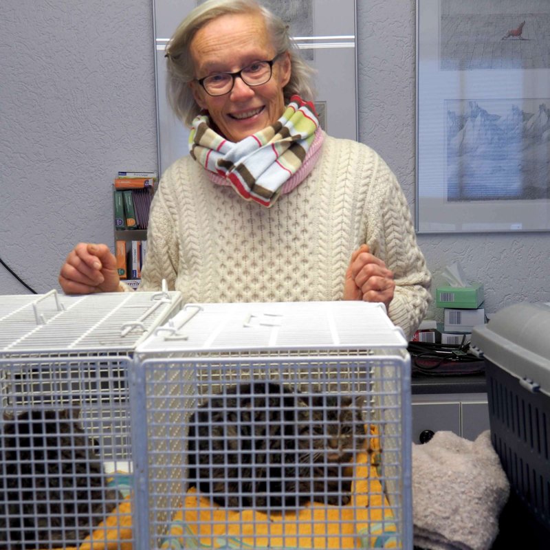 Tierarzt Eiselfing Dr.med.vet. Ulrike von Wardenburg