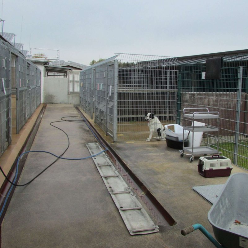 Tierklinik Blaichach