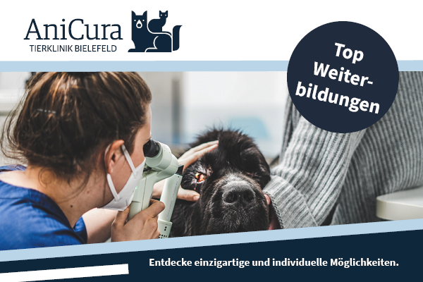 AniCura Tierklinik Bamberg