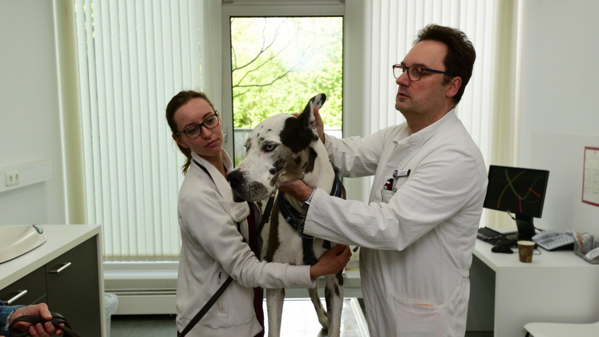 Tierklinik Ismaning