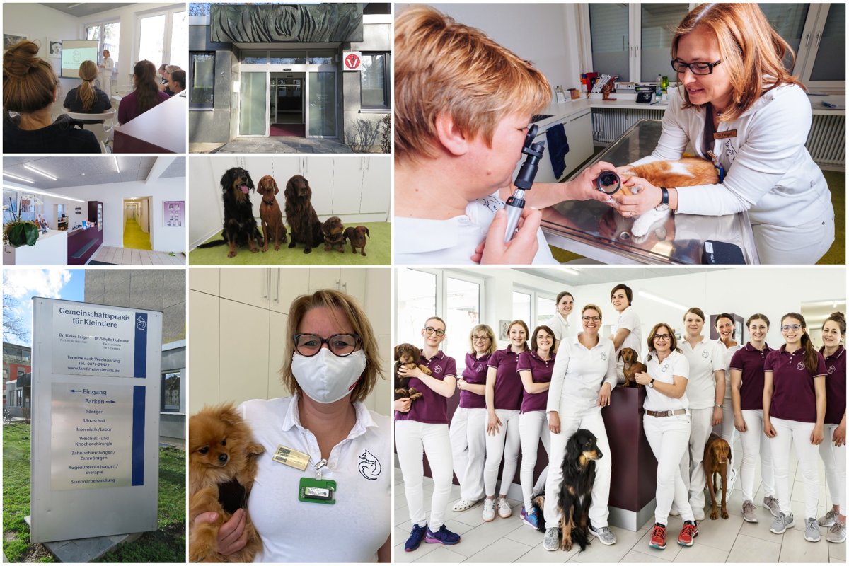 Tierärzte IVC Evidensia GmbH Tierärztezentrum Landshut