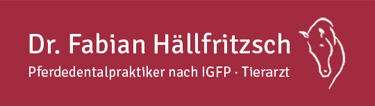 Pferdedentalpraxis Dr. Fabian Hällfritzsch