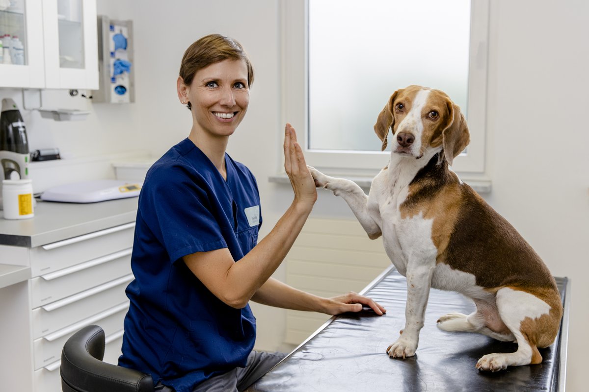 Tierklinik Thevis