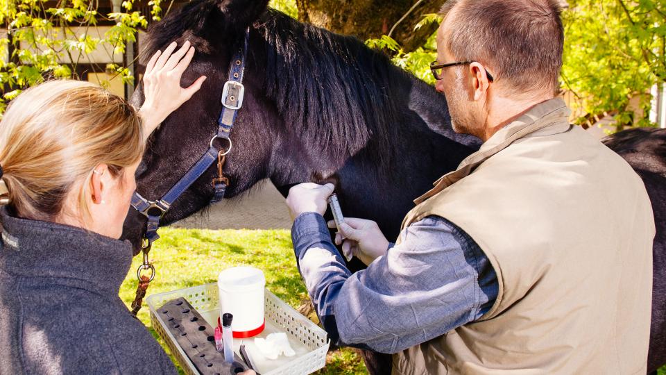Dr. med. vet. Markus Aschenbrenner