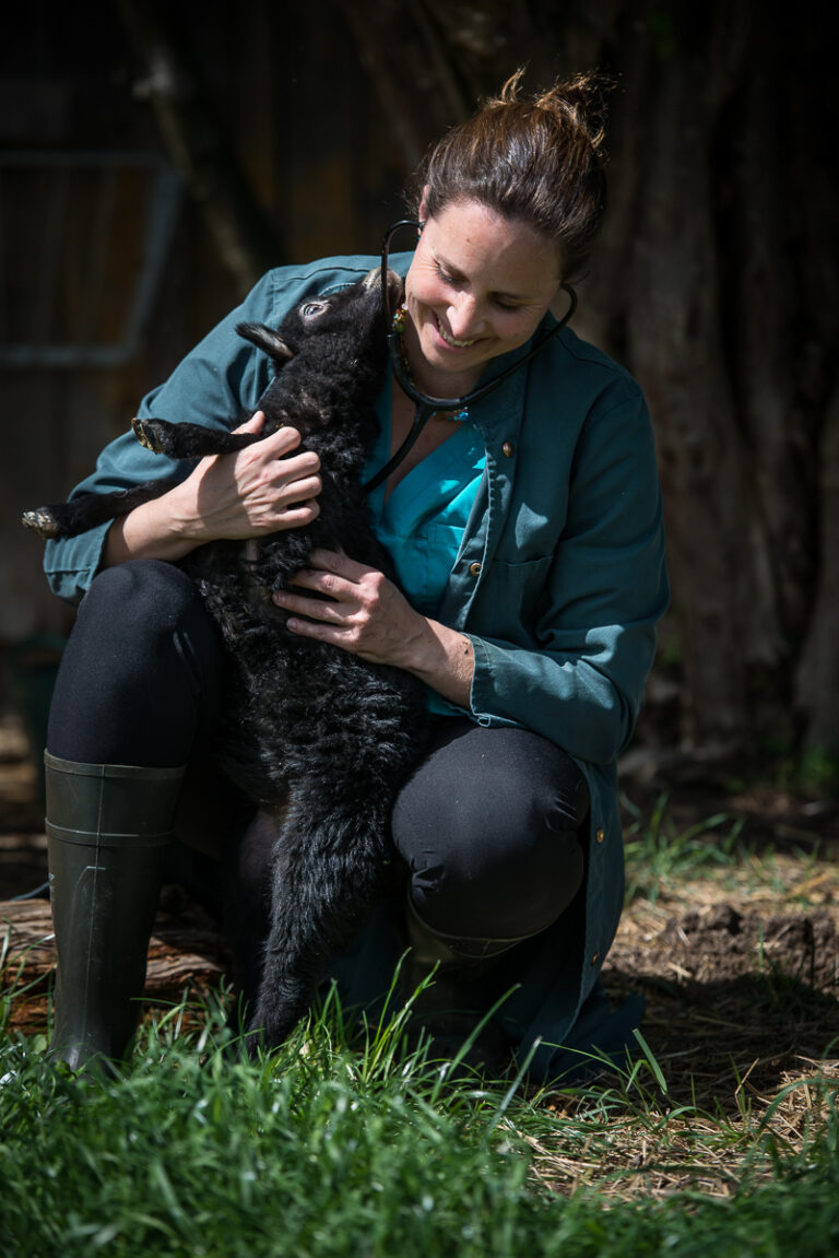 Mobiler Tierarzt Rottal-Inn